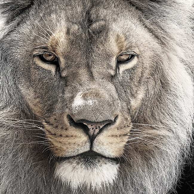 120709 Tiere D30_9842 Kopie.jpg